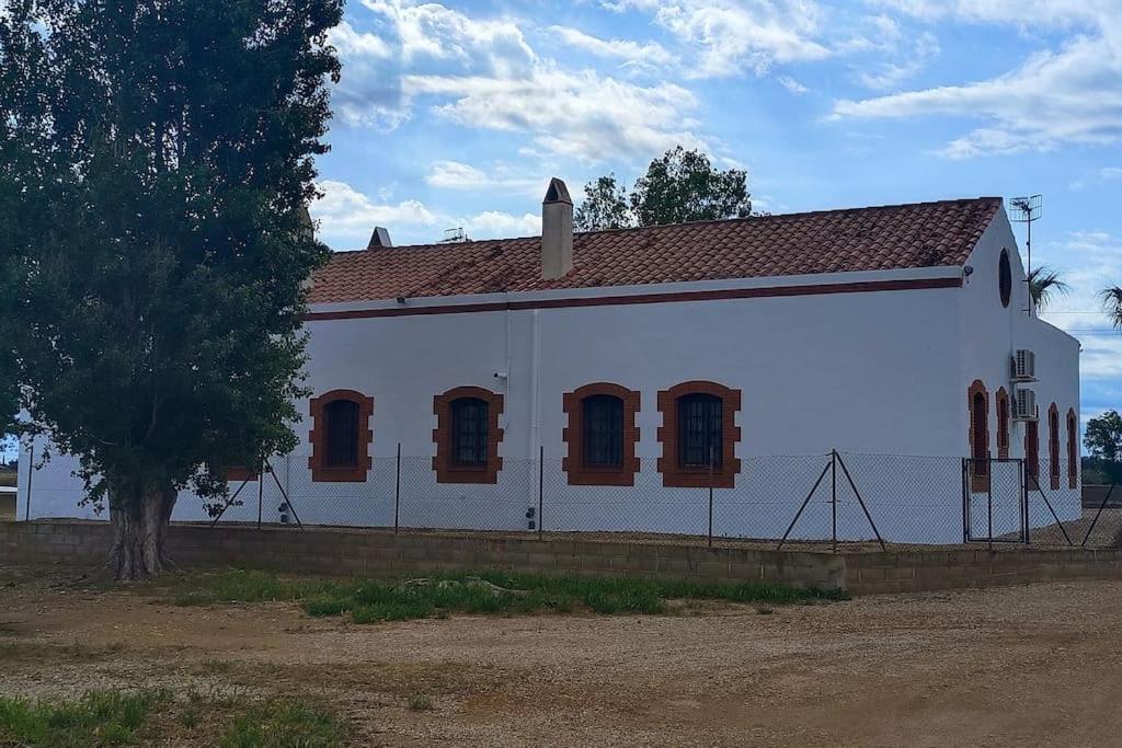 Casilla Mas D'Avall Deltebre Eksteriør bilde